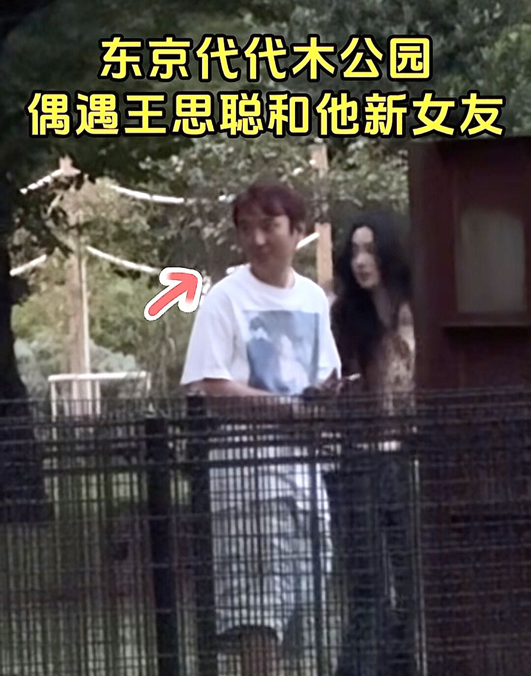潜力鸭补单软件：王思聪新女伴现身，日本前任懒懒示爱，豪门情感的冷暖博弈揭秘