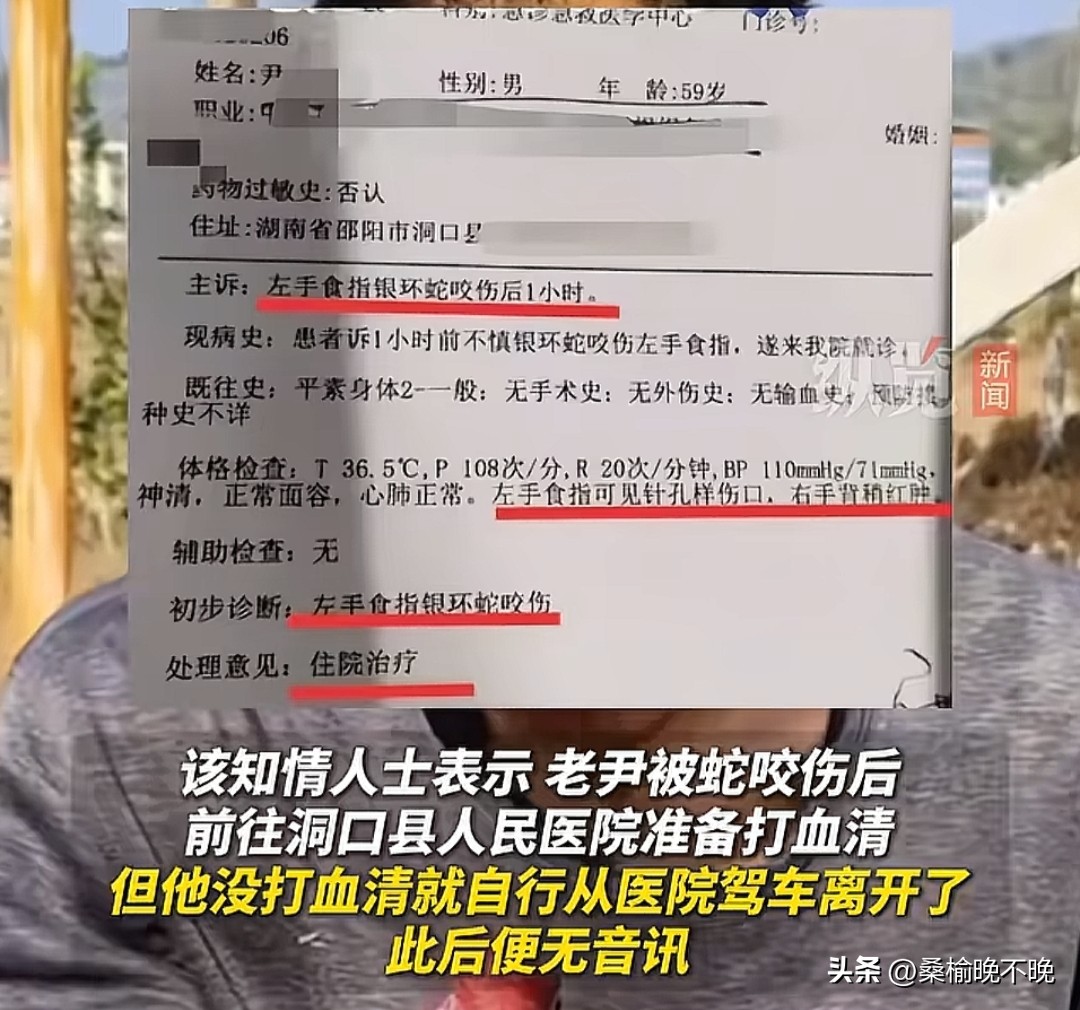 超评助手官网：湖南网红老尹被银环蛇咬后失联，网友早有提醒却未听从