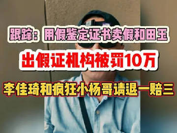 权重大师软件：李佳琦与小杨哥被指售假和田玉，假鉴定证书引发10万罚款事件