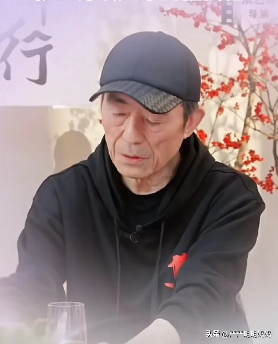 小评评助手：张艺谋与宇辉对话，从教育到直播带货的时代召唤