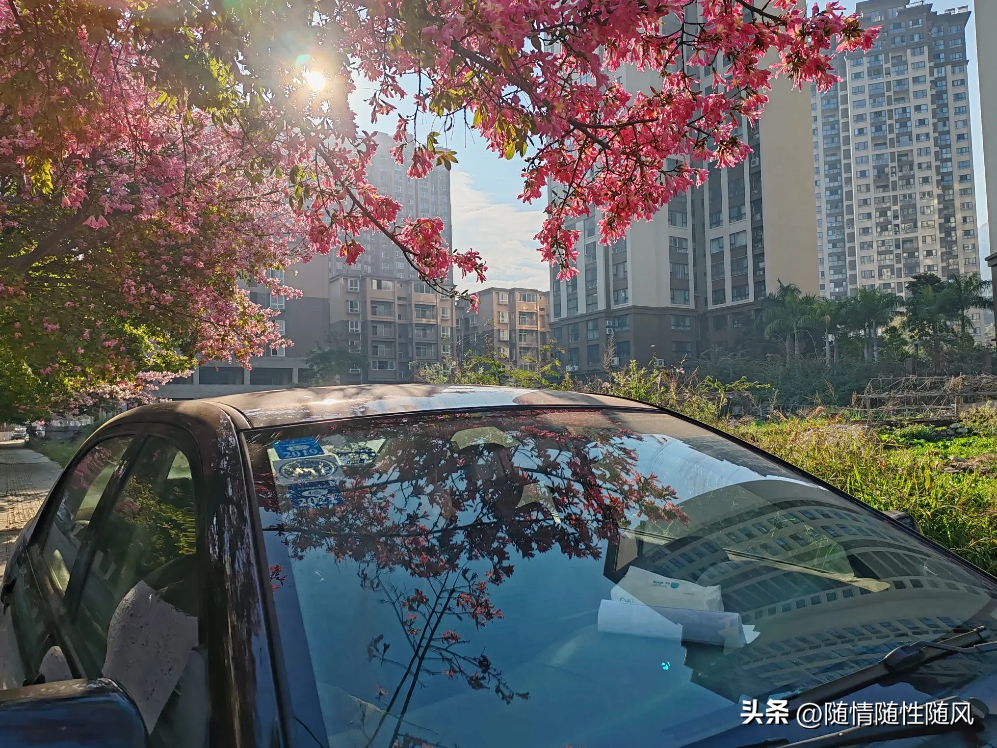 多多权重：孤独与心灵碰撞，在善意中成长与改变