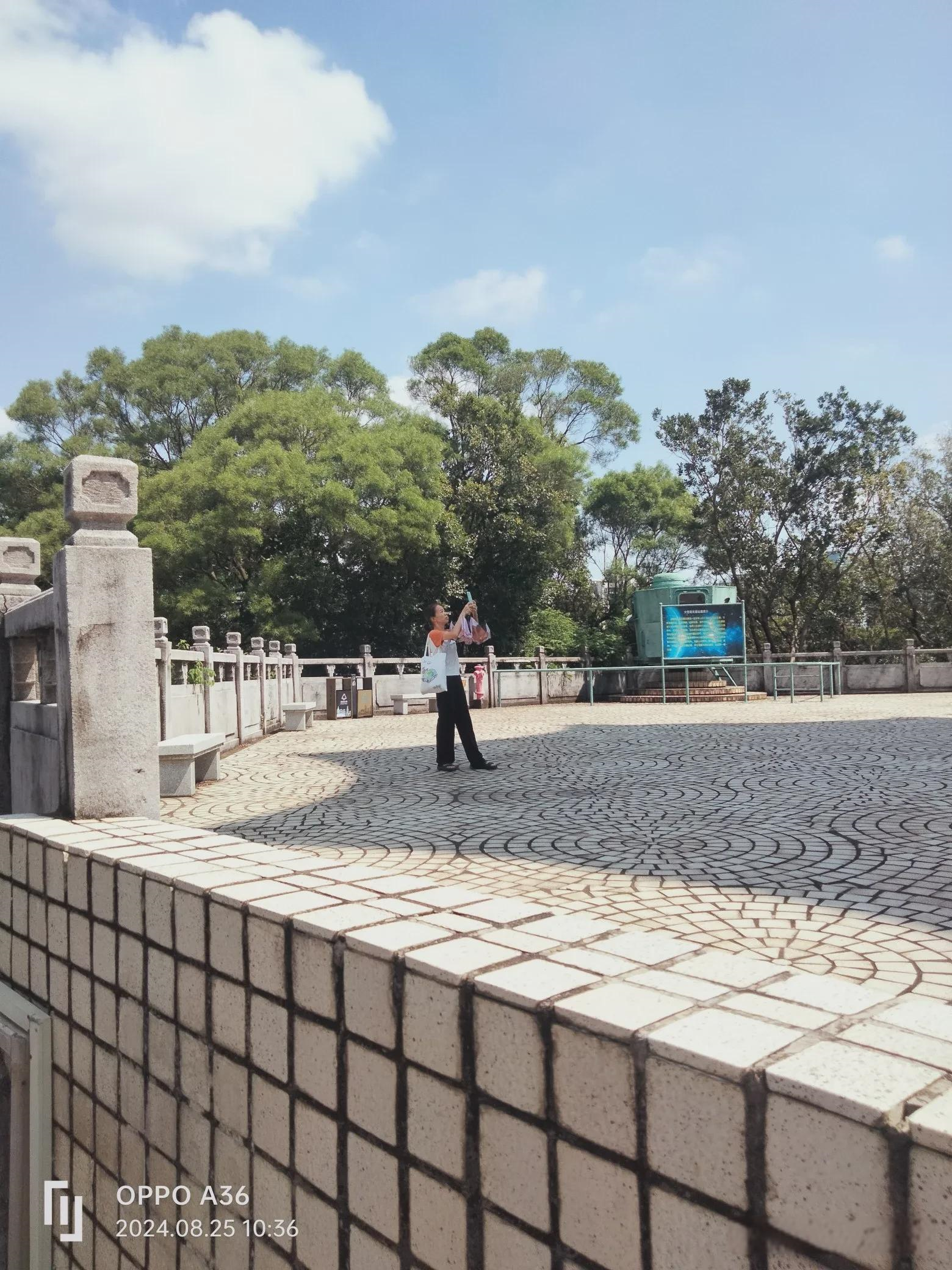 小评评助手怎么用：中国汽配行业遭遇美国关税重创，企业转型生存艰难