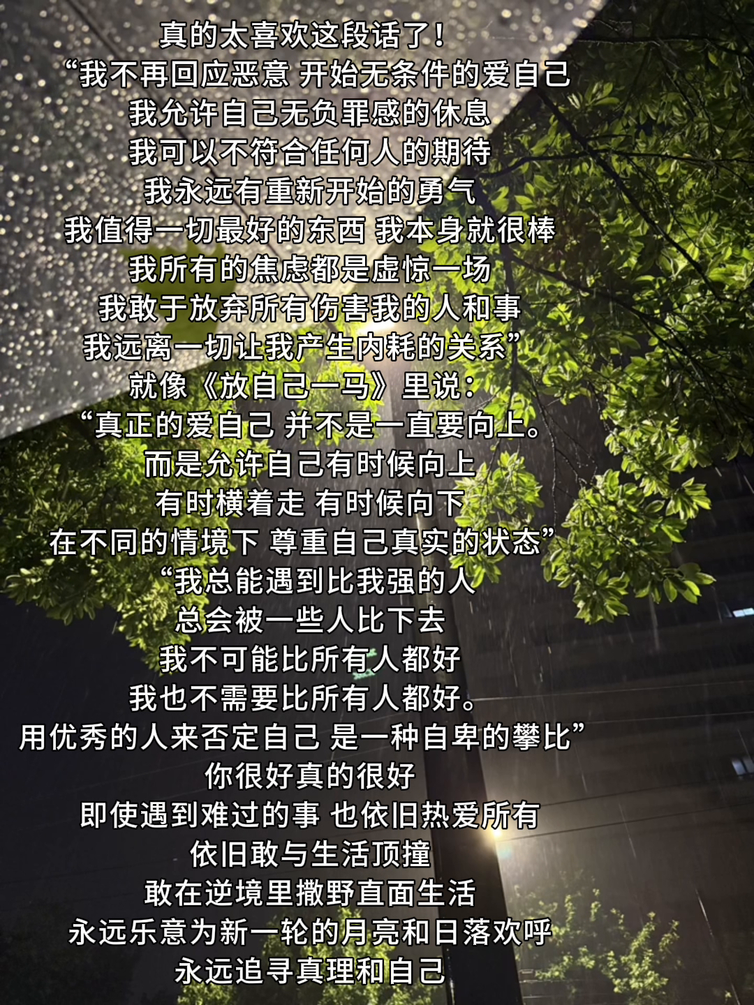 51助手补单软件：学会无条件爱自己，拥抱真实与勇气的生活态度