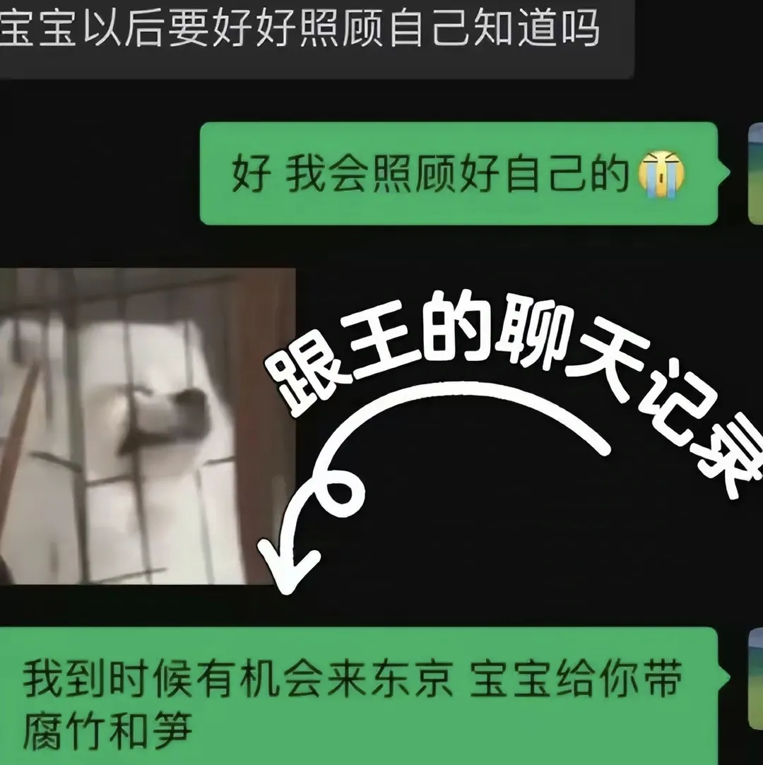 易评助手出评软件：小羽与王思聪的情缘揭示，真爱还是舆论炒作的牺牲品？