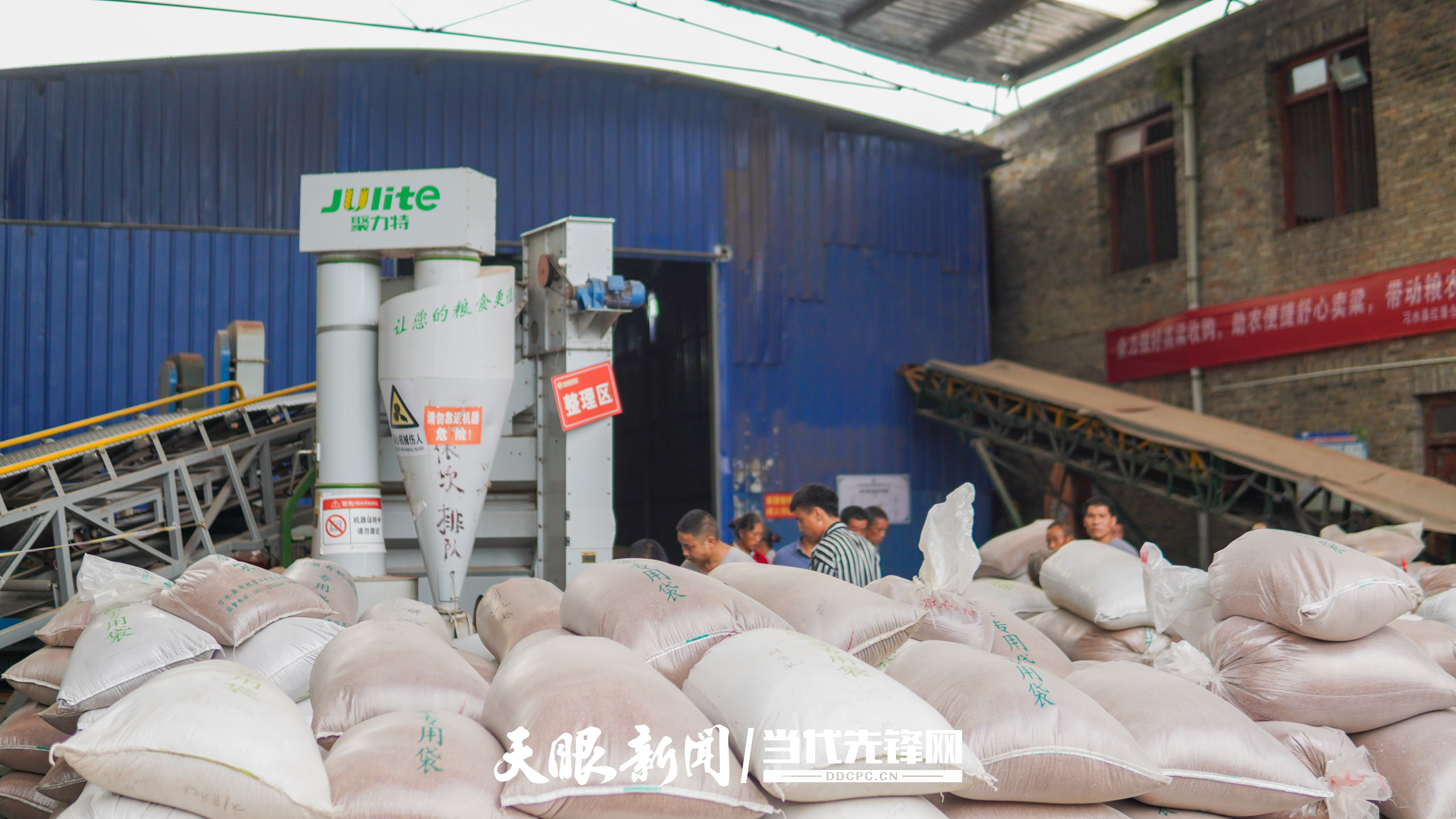 小Q助手开团软件：2025年“中国农民丰收节”，习水县高粱订单农业助力农民增收致富