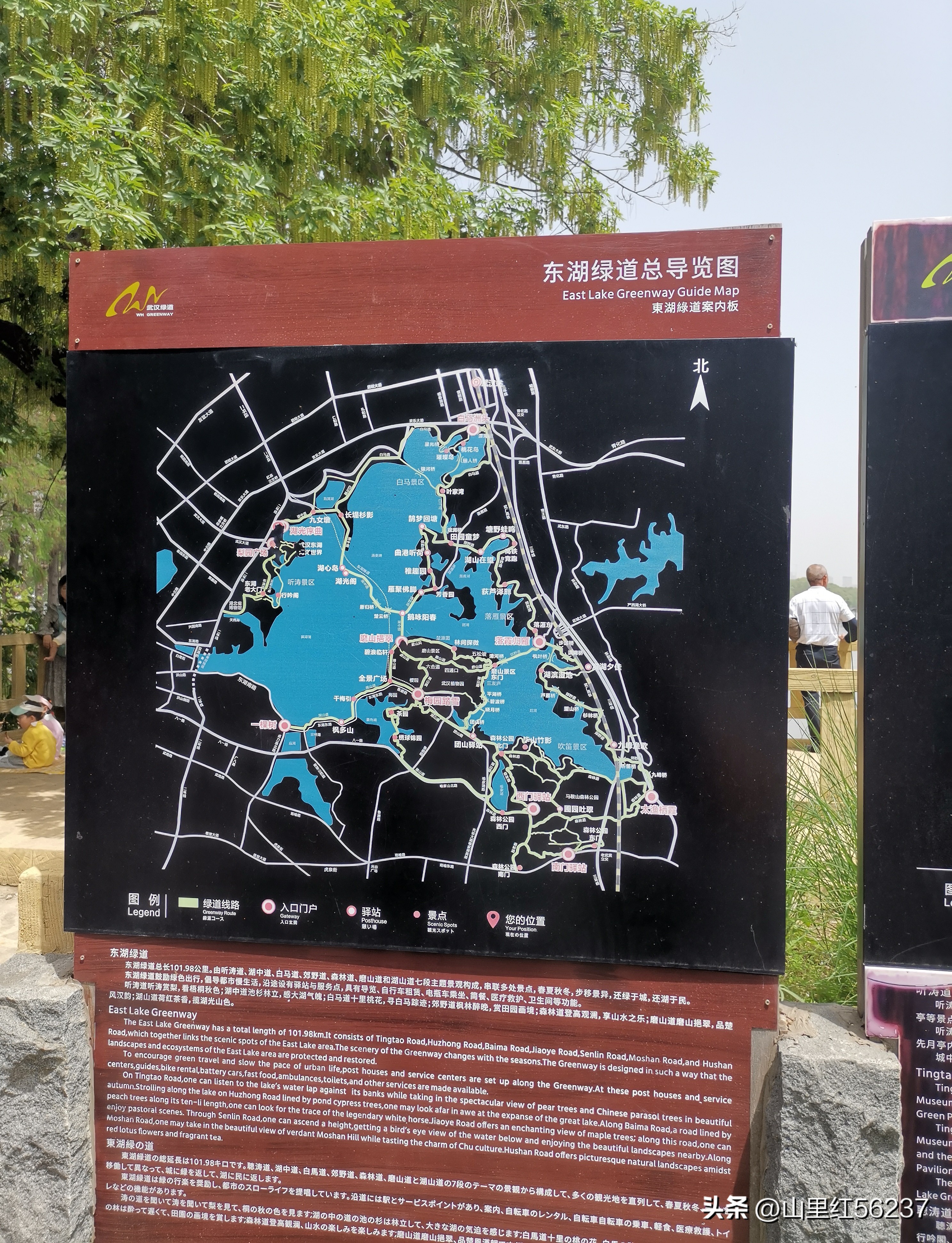 熊猫助手：2025年中国城市建设水平排名，上海、深圳、武汉的温暖与凝聚力探讨