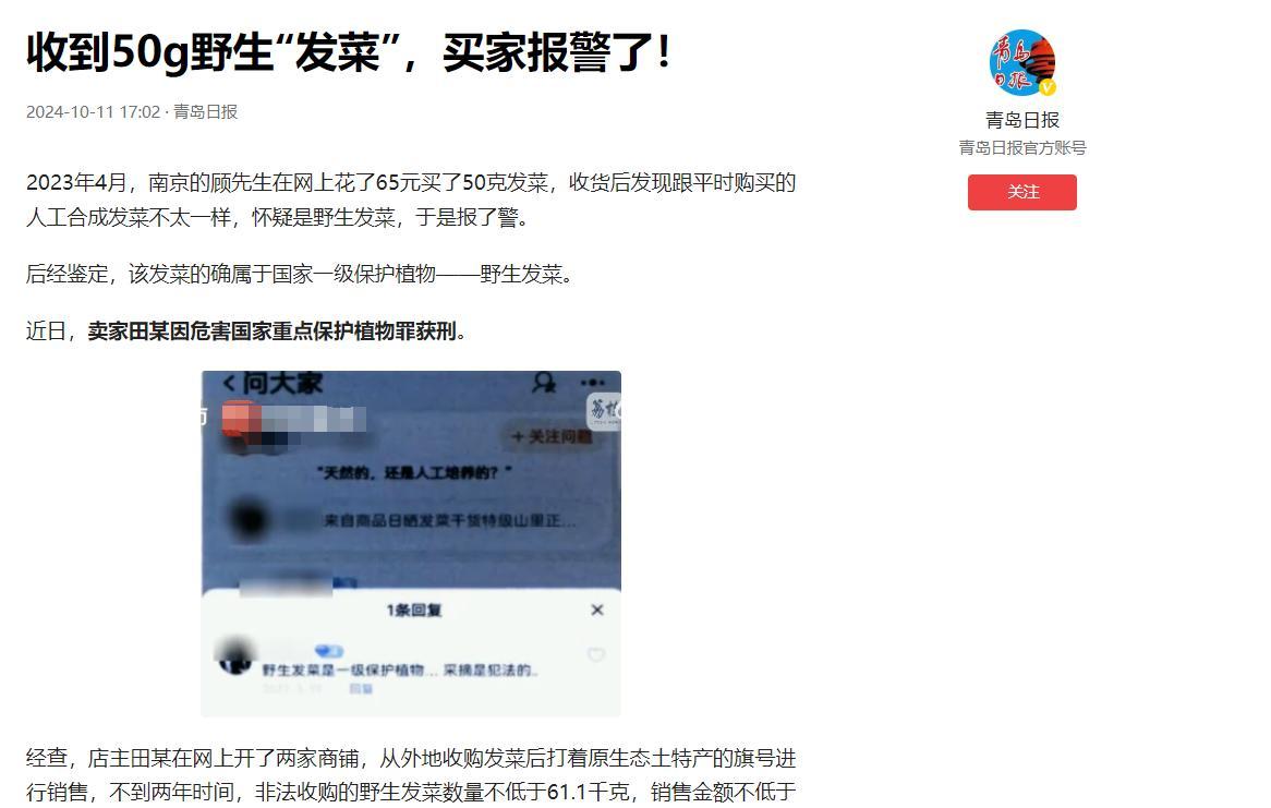 小M助手下载官网：南京男子因网购野生发菜报警，揭露生态犯罪背后真相与法律惩处