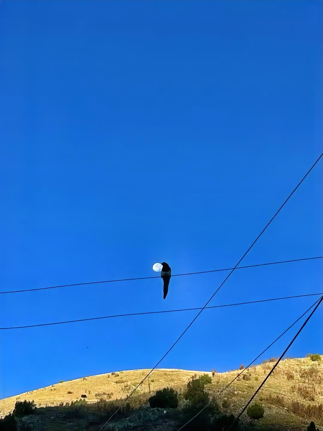 易评助手网站：珍惜生命每一天，70后与80后的真实生活感悟