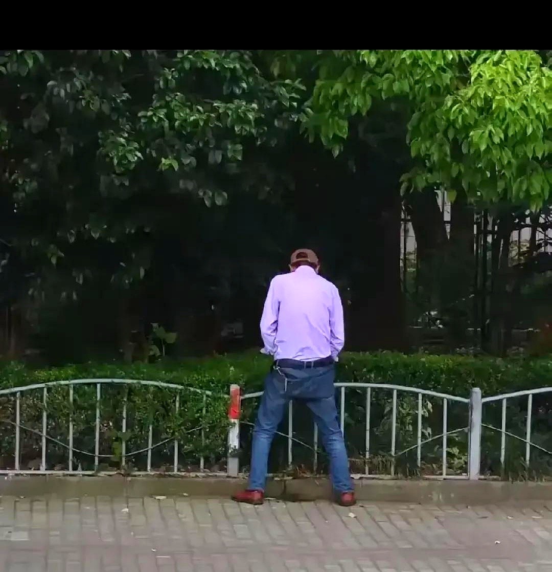 多多自动批发官网：印度人口急剧增长，未来五十亿的隐忧与挑战