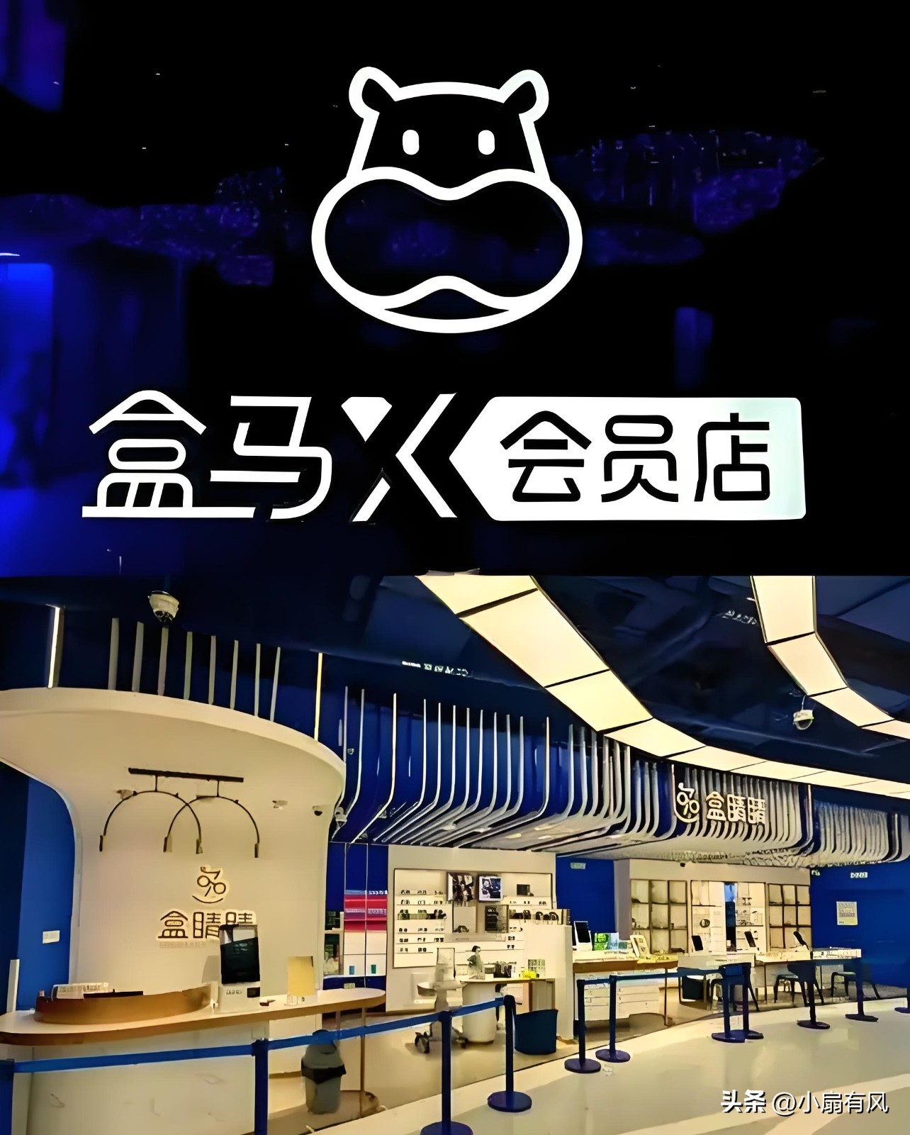 小评评助手下载官网：盒马关闭会员店，2024年将新开100家鲜生门店加速扩张！