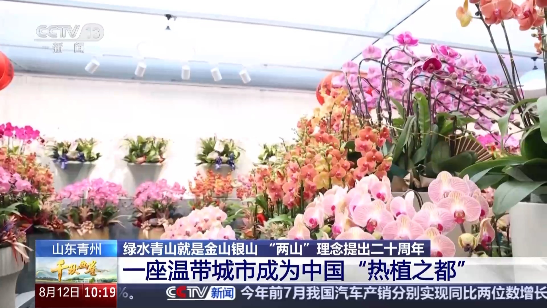 易评助手下载：生态转型如何将荒漠与竹林变成中国经济新动力的成功案例解析