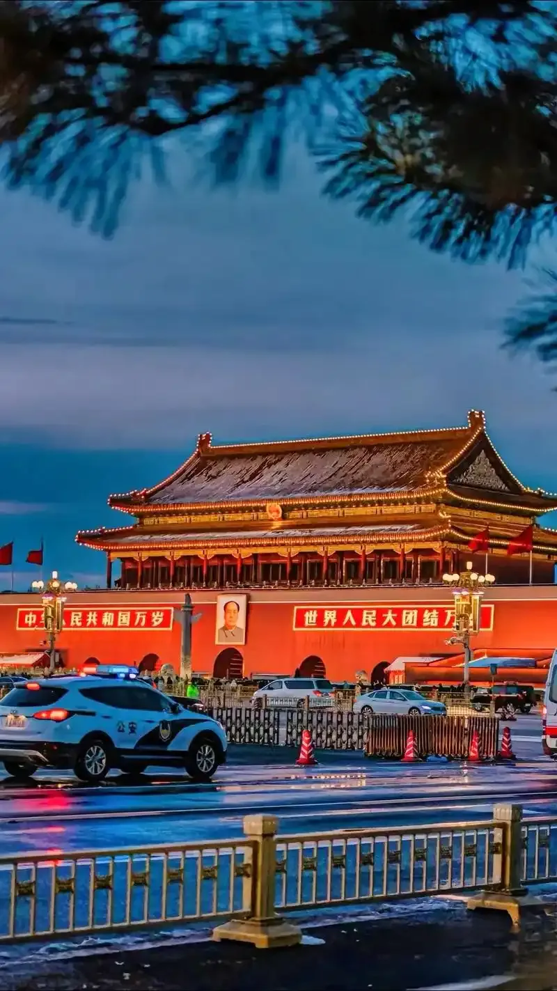 领先助手网站：中国在复杂国际环境中的地位提升与面临挑战的综合分析