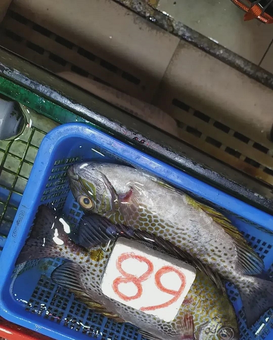 皮皮助手下载官网：香港餐饮业困境，高租金与创新模式下的生存之道