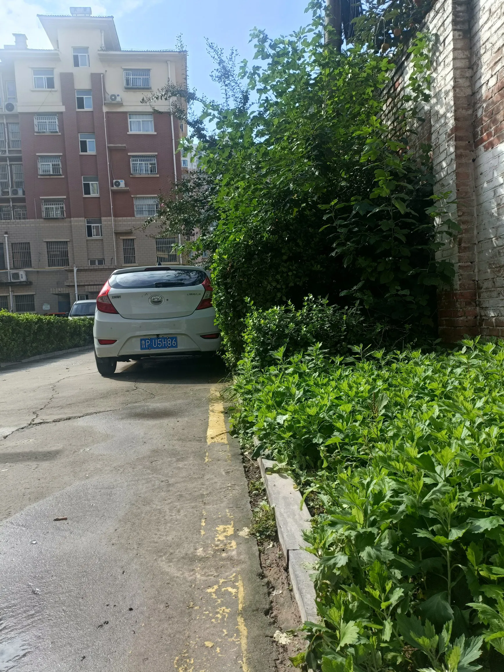 新快火助手：抖店新手必看，避免流量骗局，先做这7个基础设置提升销量！