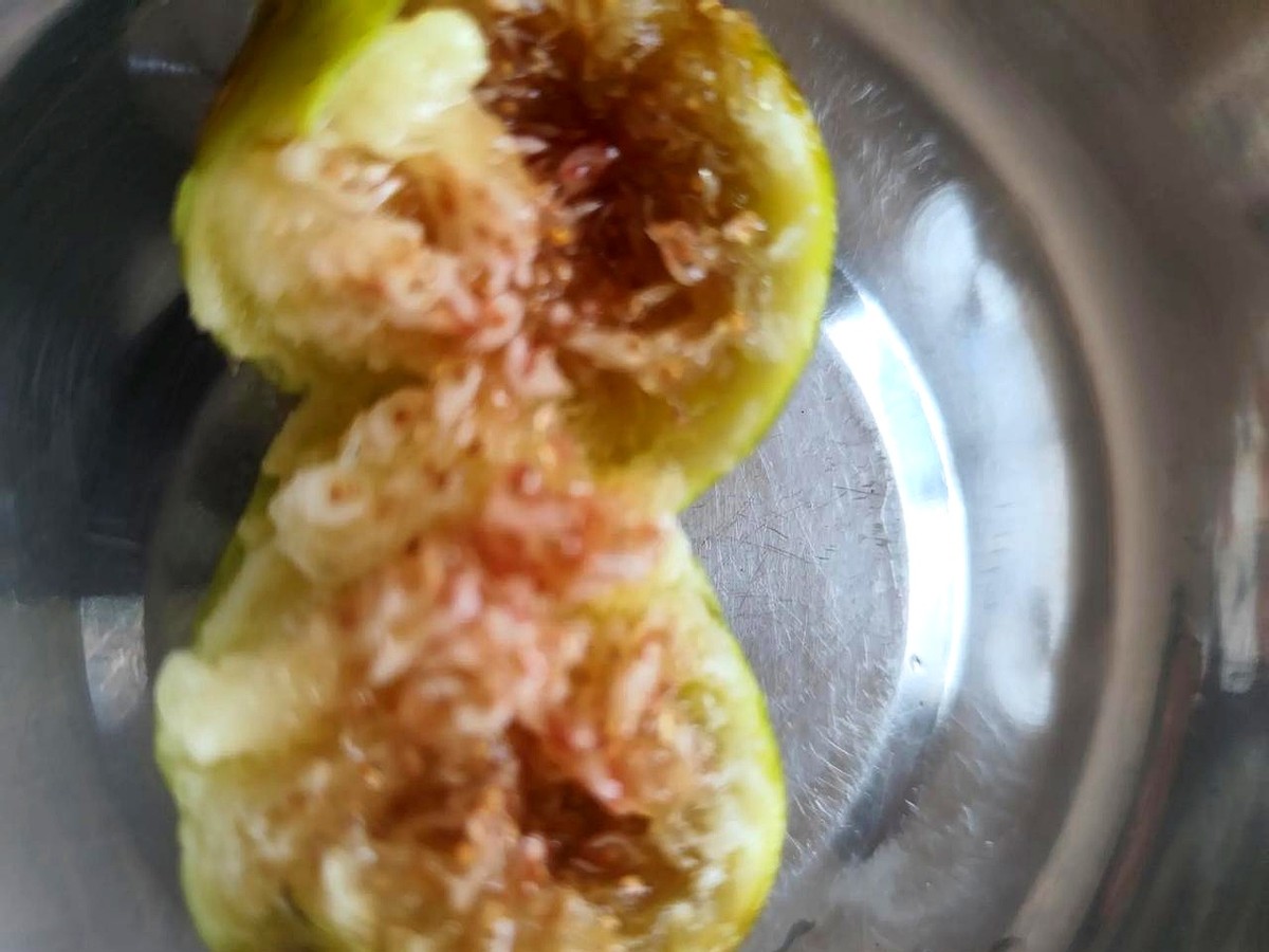 超单助手最新版本：真果无花果，为何快递到不了的地方才是它的家？