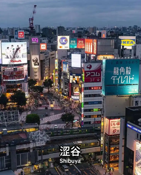 51助手卡密：日本经济危机，物价暴涨与家庭生活困境解析