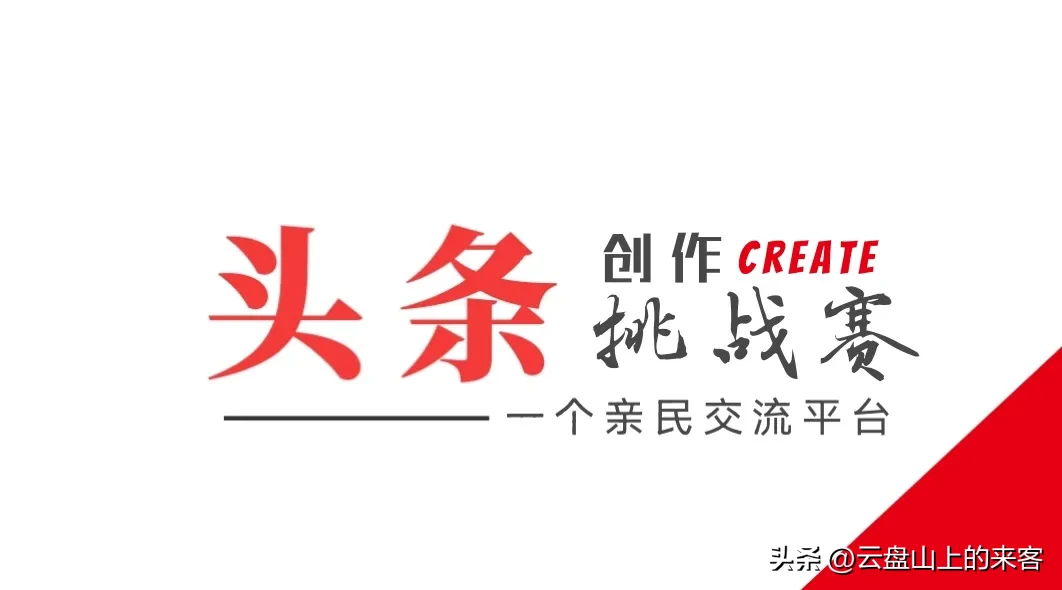 权重大师：实体店经营困境，应对电商冲击与顾客还价策略探讨