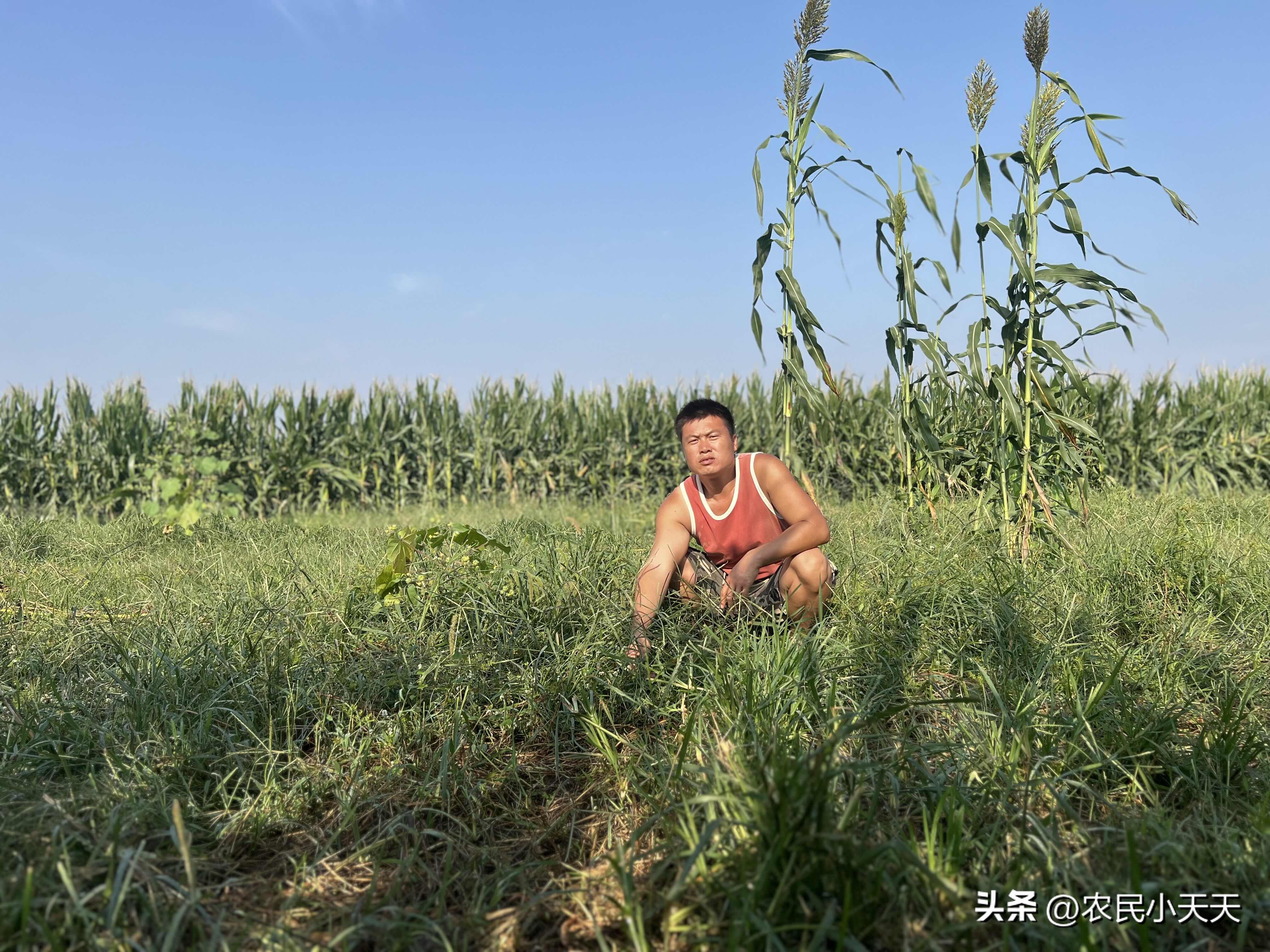 小G助手怎么用：自媒体时代已过，如何在竞争中寻求新机遇？
