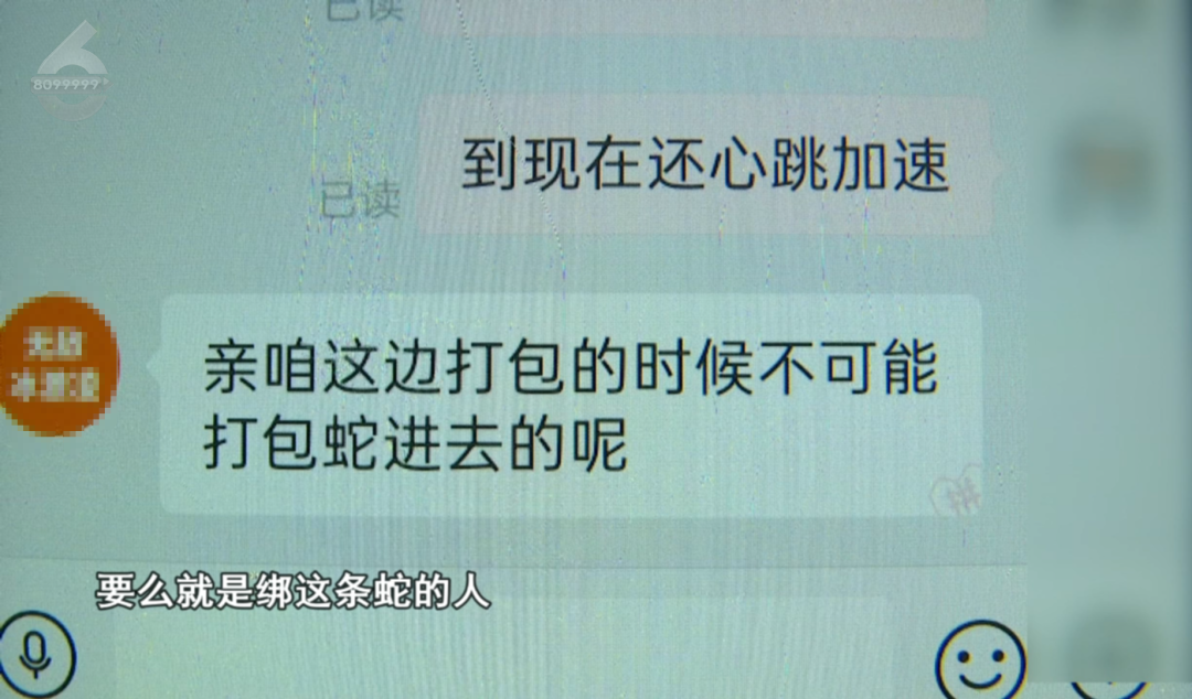 51助手最新版本：昆明女子网购小凳意外拆出活蛇，商家仅退款引发维权关注