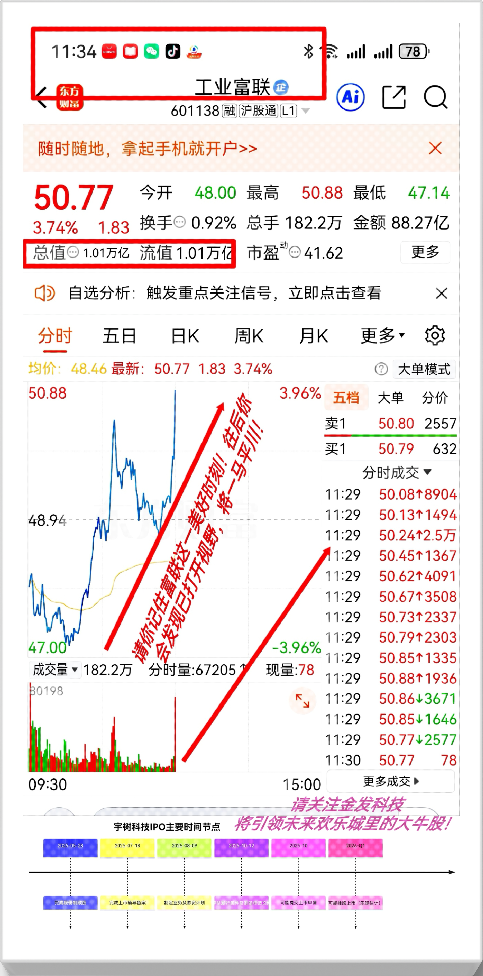 TOP助手：牛市心态，散户的焦虑与坚持，如何在市场中生存与成长