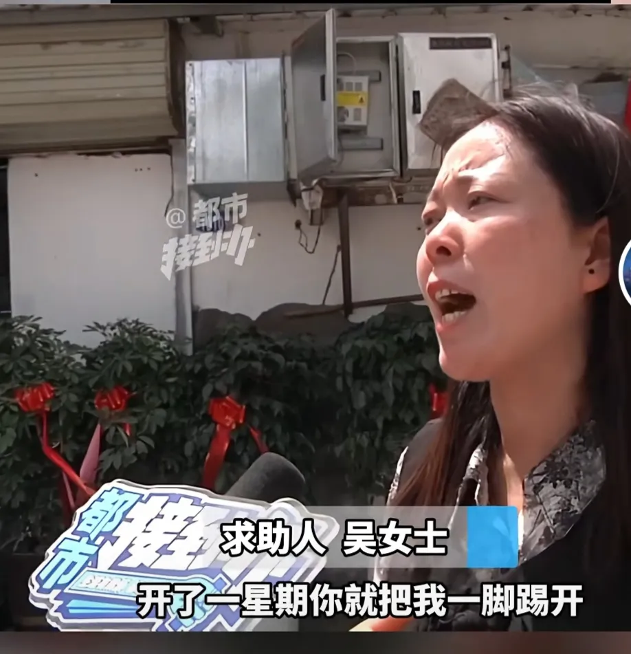 拼多多出评：好朋友合伙开店，没想到却被卷款而逃的悲惨经历