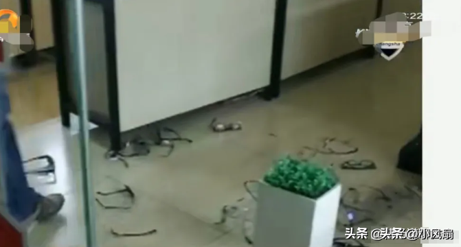 权重大师出评软件：房东“白嫖”的背后，信任危机与租客维权之路