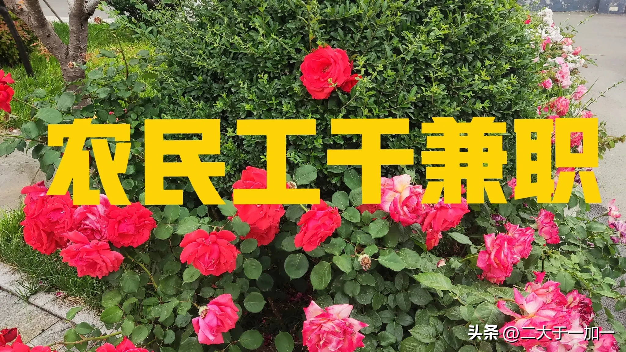 51助手出评软件：如何应对兼职变化与工作焦虑，一位农民工的心路历程