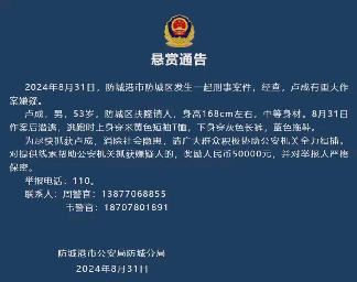 领航助手卡密：卢某逃亡故事，面对挑战与自我认知的探索之旅