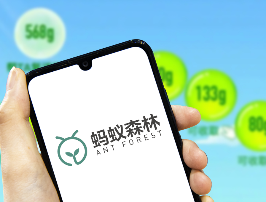 权重大师软件官网：马云种树计划，从环保理想到现实困局的反思与启示