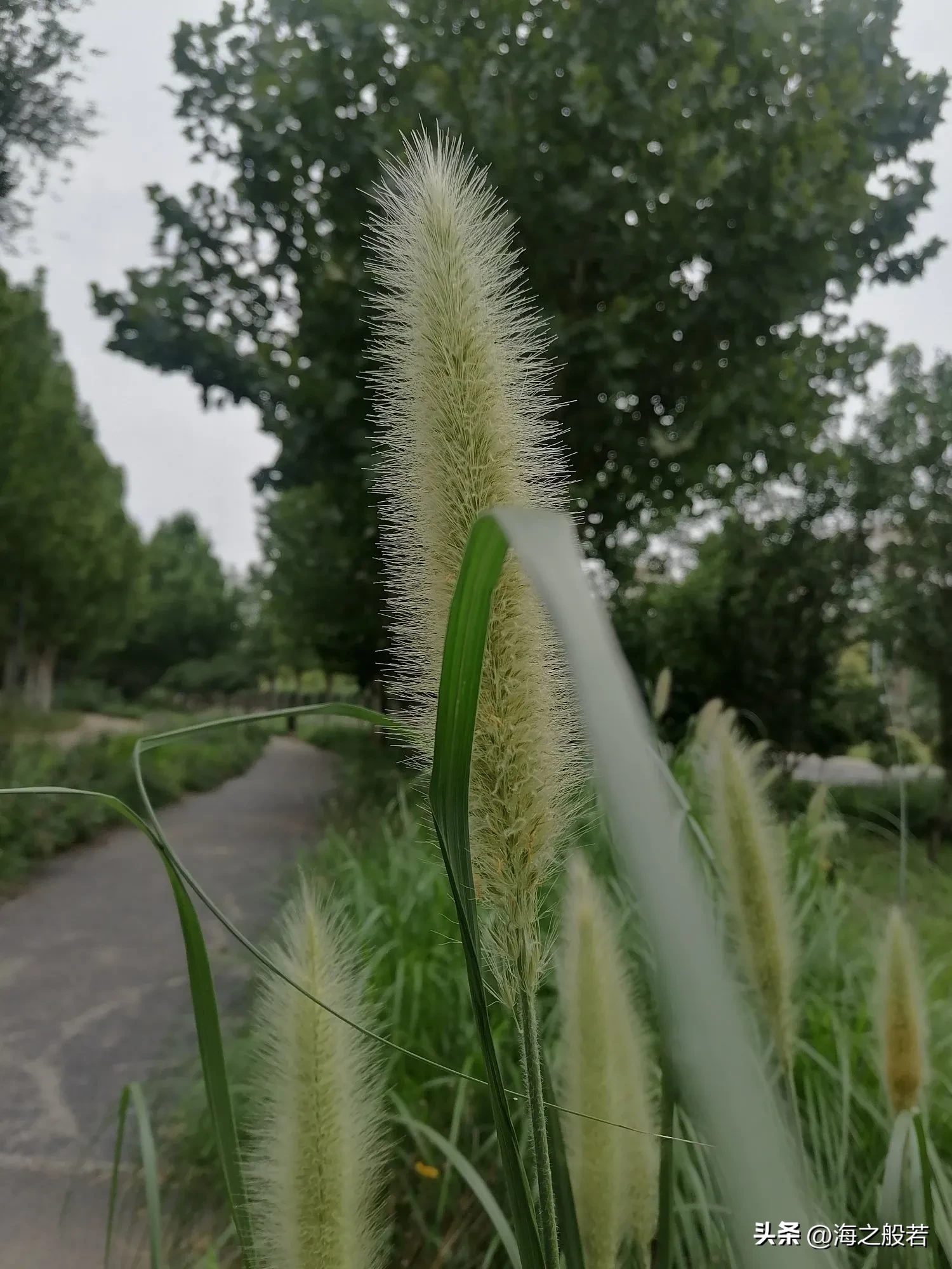 多多自动批发：直播带货的焦虑，物质与精神生活的反思与选择