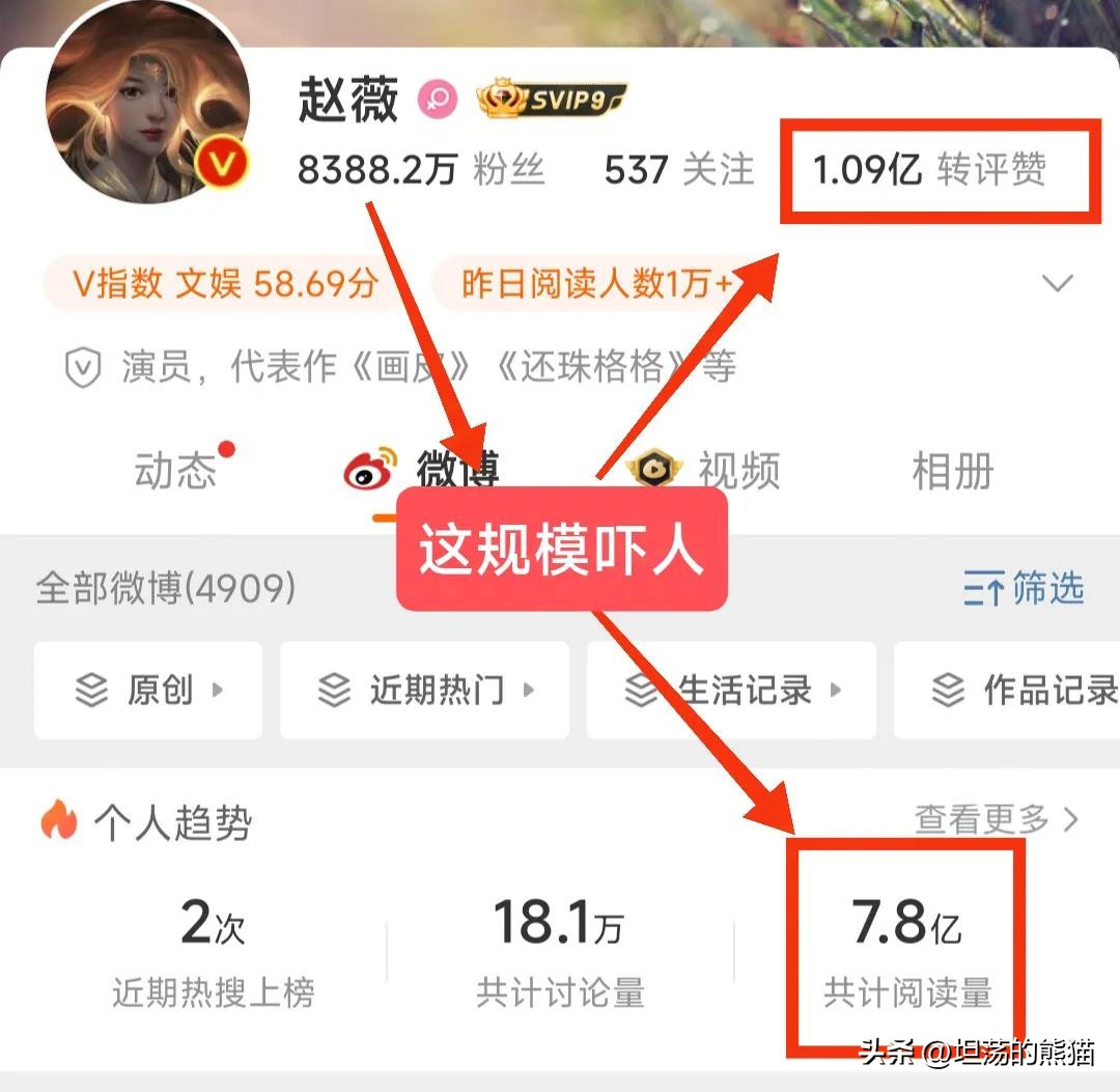 小G助手卡密：赵薇的影响力与沉寂，揭秘娱乐圈的巨星背后故事