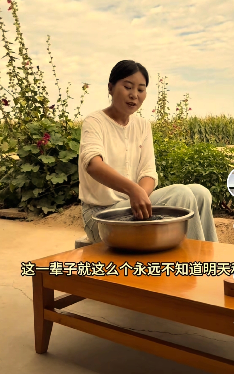 领先助手：自媒体崛起，年轻人如何灵活就业与实现高收益
