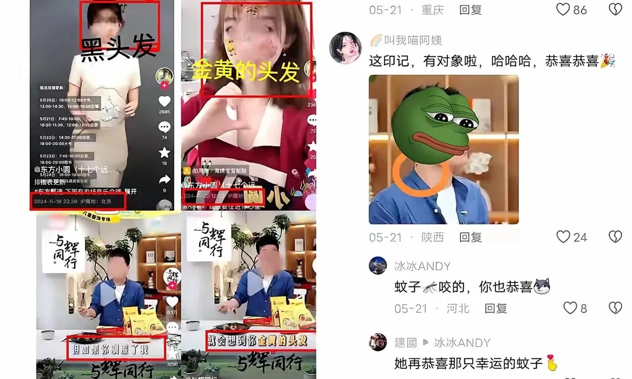 番茄管家怎么用：丈母娘的考验，俞敏洪与周成刚的婚事挑战揭秘