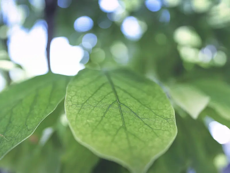 易出评拼多多：极简生活六条原则，教你如何避免购物陷阱，轻松存款十万