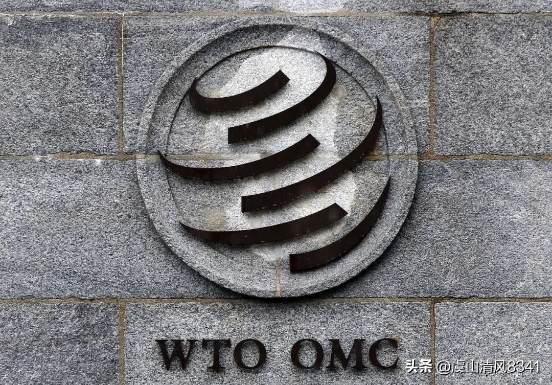 要火助手：中国放弃WTO发展中国家待遇影响分析，外贸困境与应对策略解读