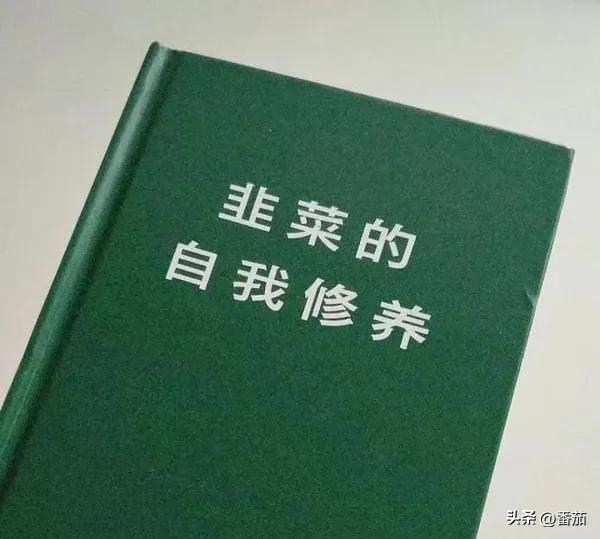 多多留评工具：警惕炒币陷阱，投资应注重学习与独立思考，不盲从“高手”建议