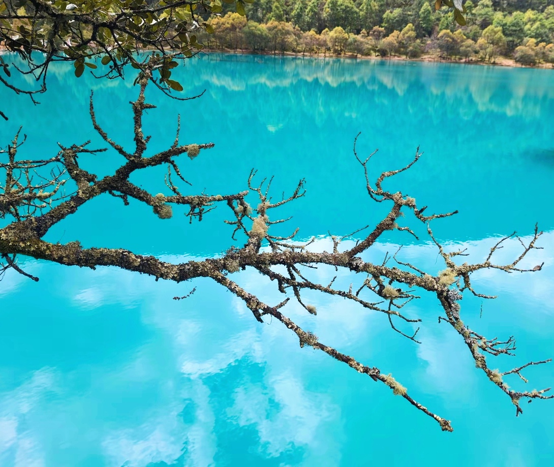 评分助手：巴菲特为何拒绝投资科技股？揭示其长期稳定投资理念的深层原因