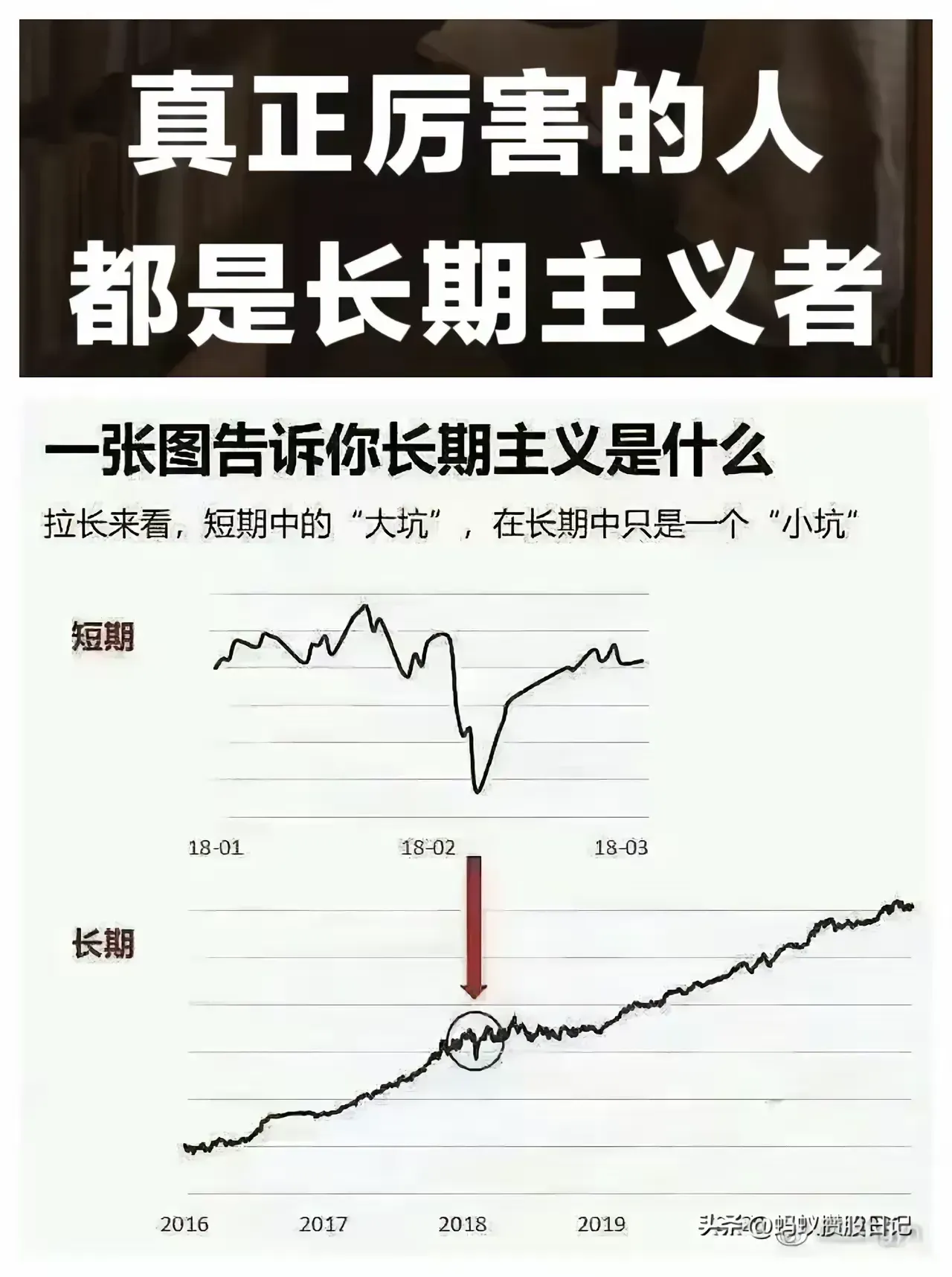 易评助手怎么用：重仓股投资的秘密，林园分享财富增长的三大原则与确定性分析