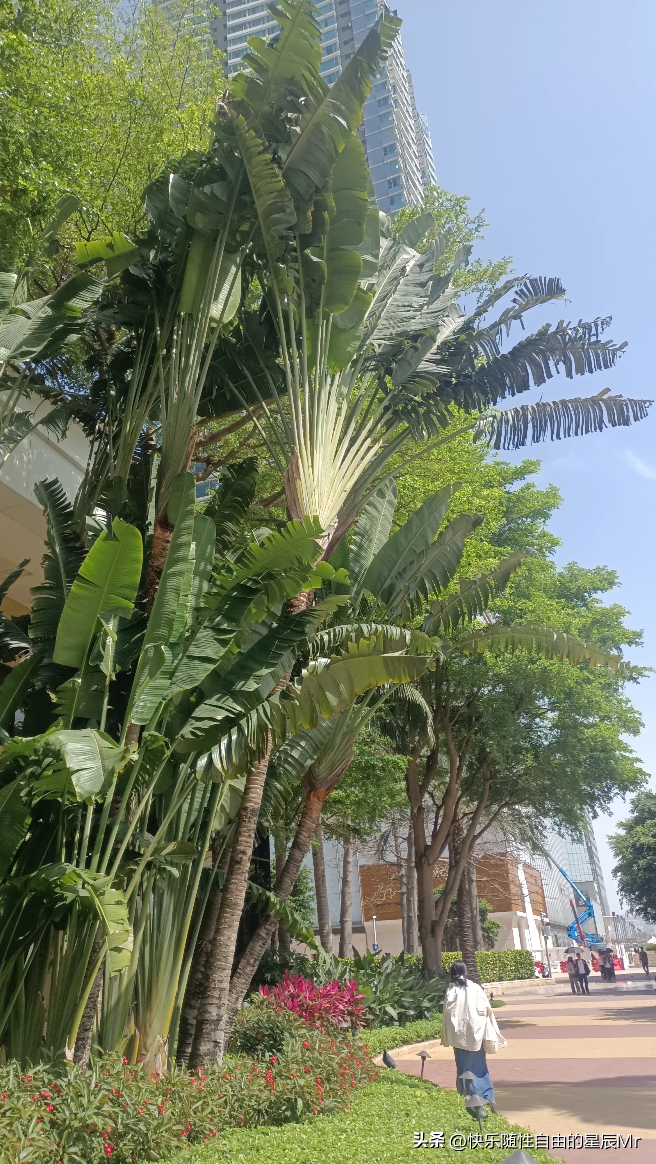拼多多动销出评：女性销售员的职场挑战与成长，李璐与老张的故事