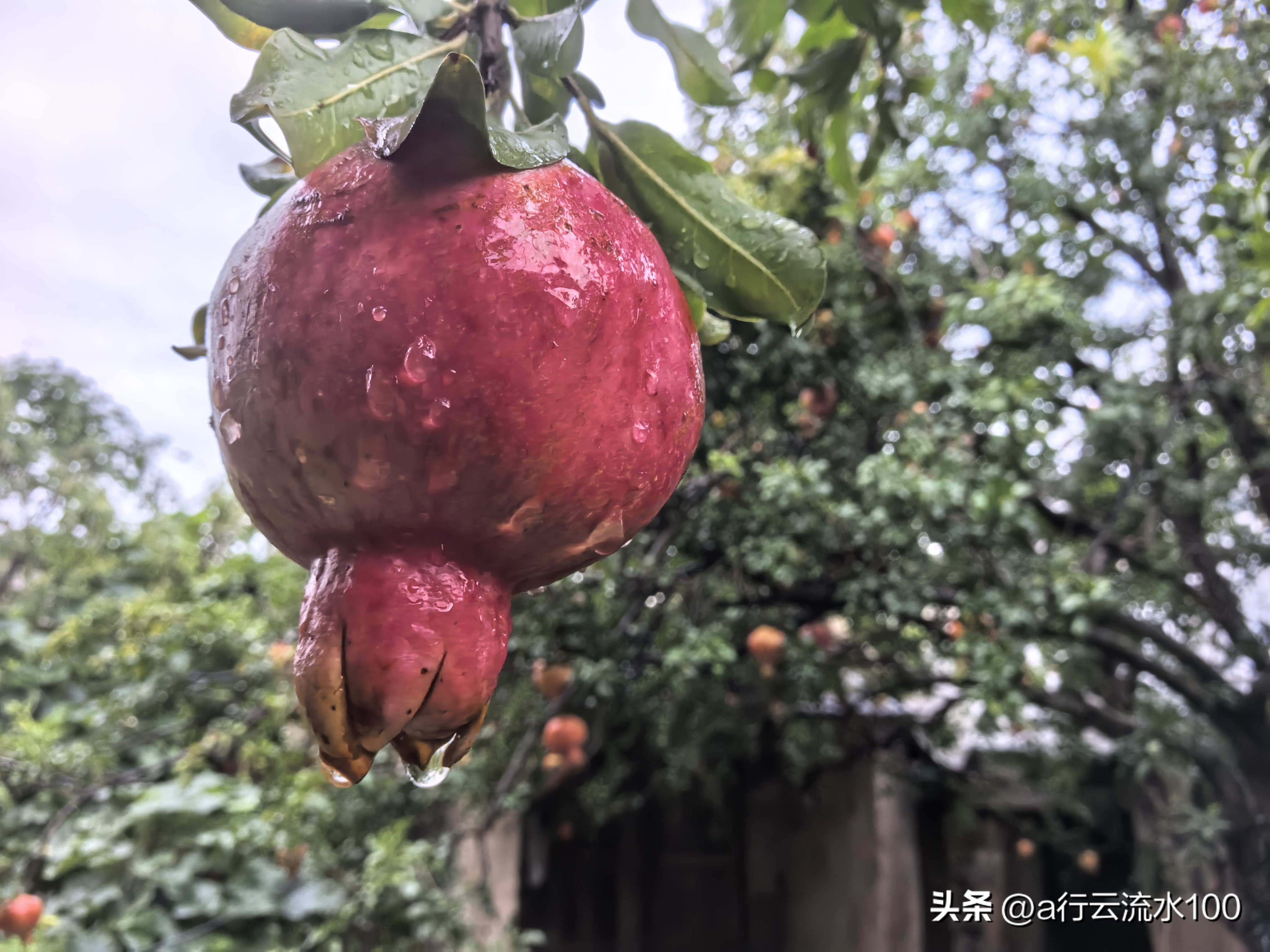 小Q助手官网：炒股的三重境界，从保值增值到财务自由与人生智慧的提升