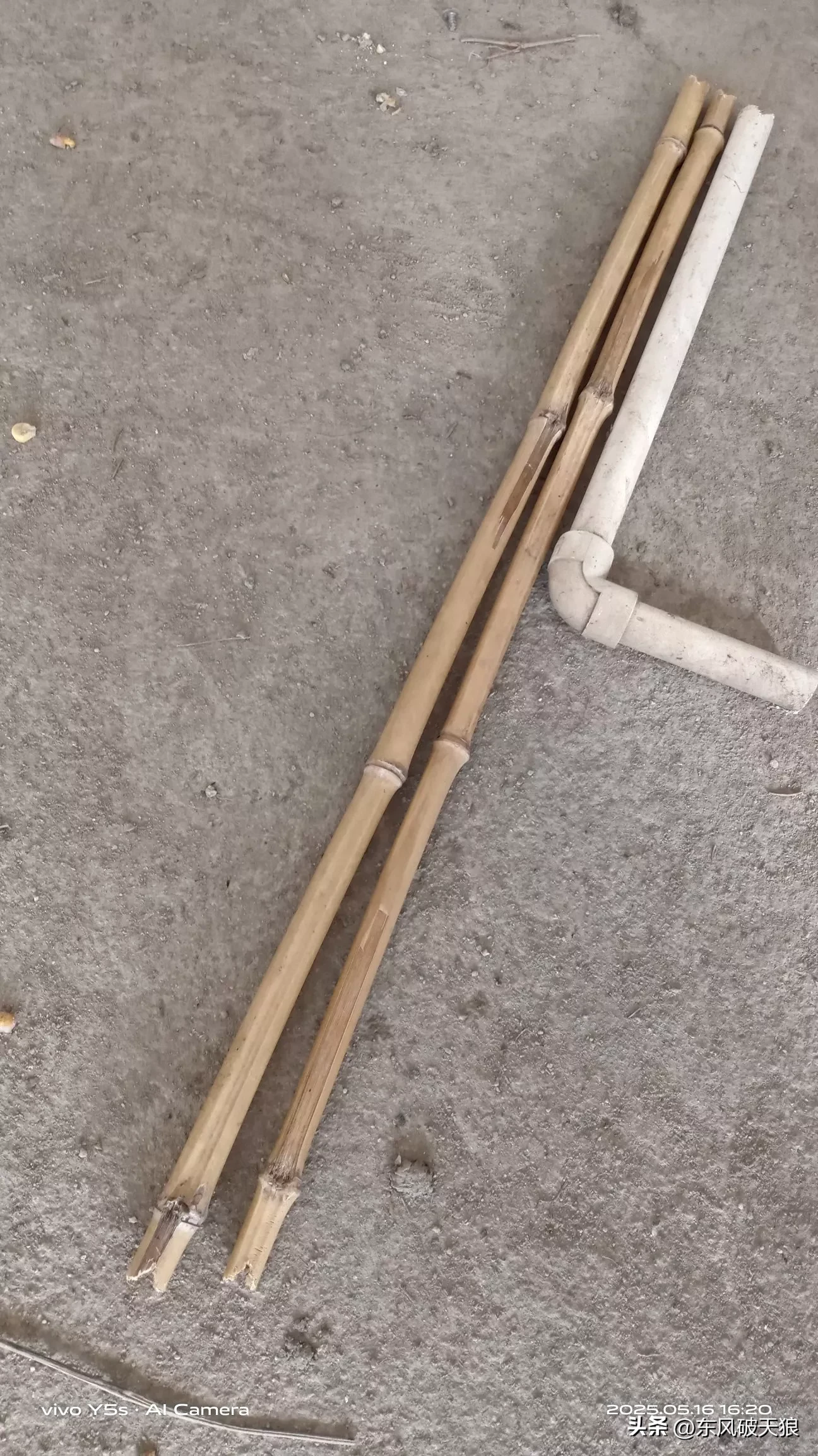 超评助手卡密：网购地瓜秧经验分享，快递包装破损与栽种工具自制探讨