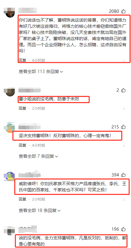 多多精灵：刘爽回应董明珠海归言论，呼吁道歉引发广泛讨论与争议