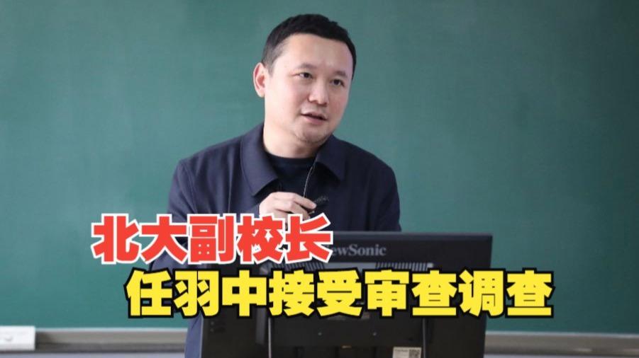 夕夕助手官网：北京大学副校长任羽中的辉煌与堕落，从学霸到“严重违纪”真相探讨