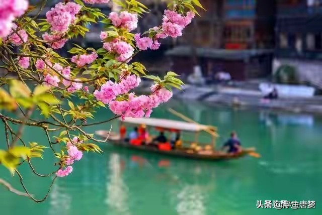 小Q助手：生活的真谛，穷也不苦，富也不飘，幸福在细节中绽放