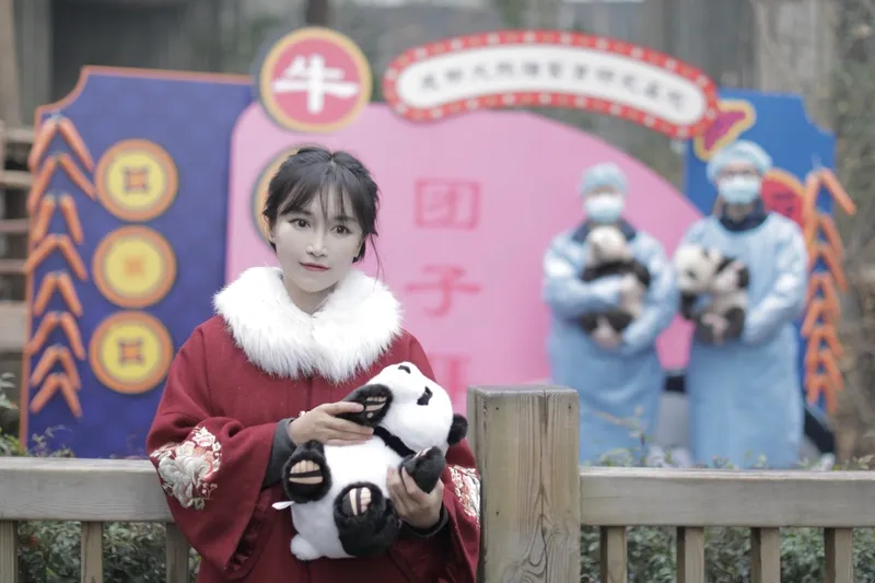 番茄助手补单软件：李子柒，数字时代的田园牧歌与精神疗愈之旅