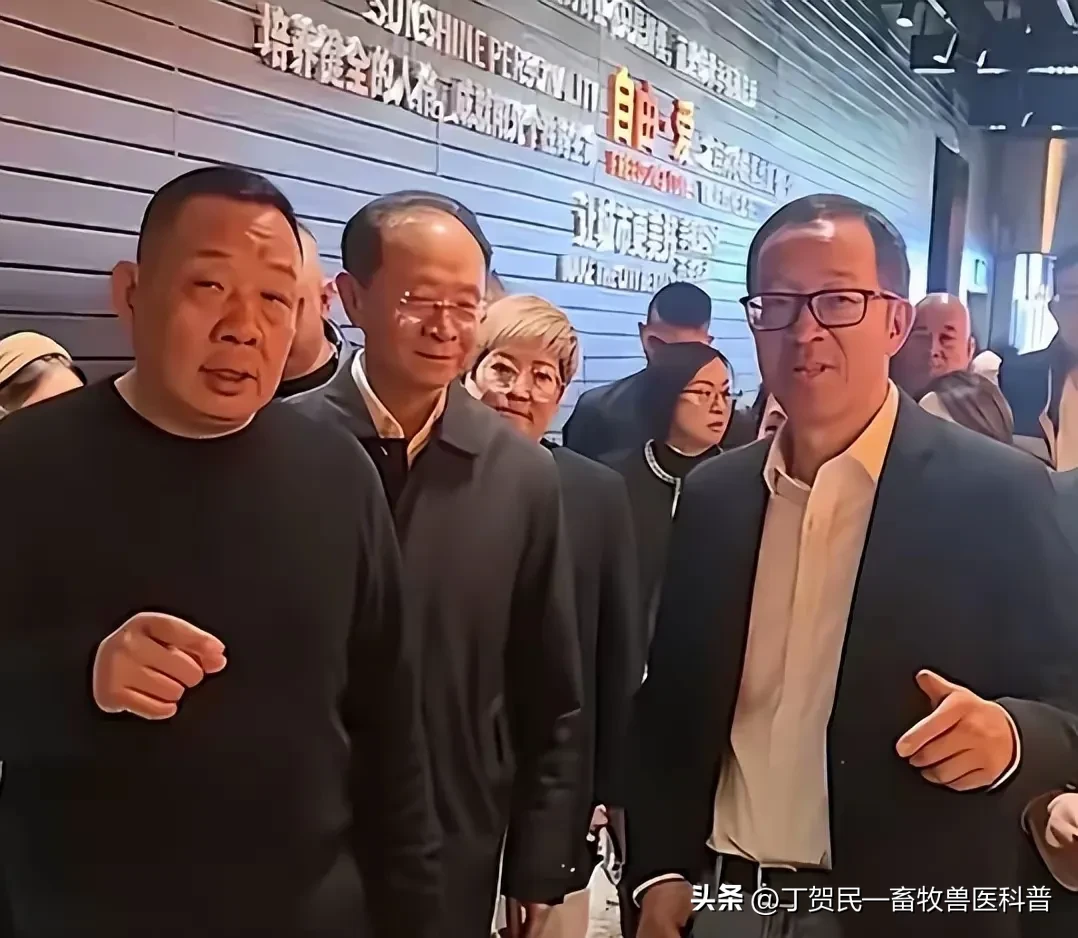 易单助手下载：良心企业家为何屡遭无端攻击？胖东来与东方甄选的品质坚守之路