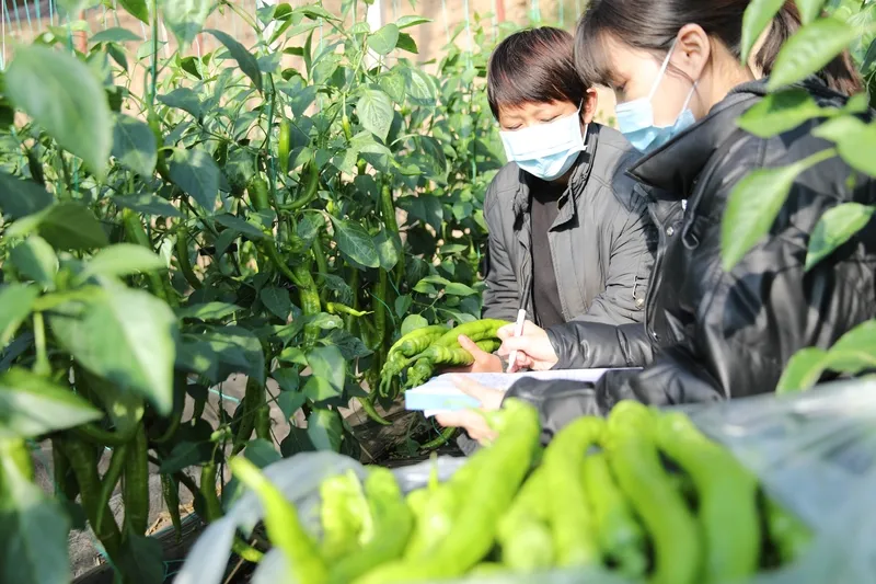 超单助手出评软件：2025年中国社会热点分析，舌尖安全、能源革命与就业医疗新政解读