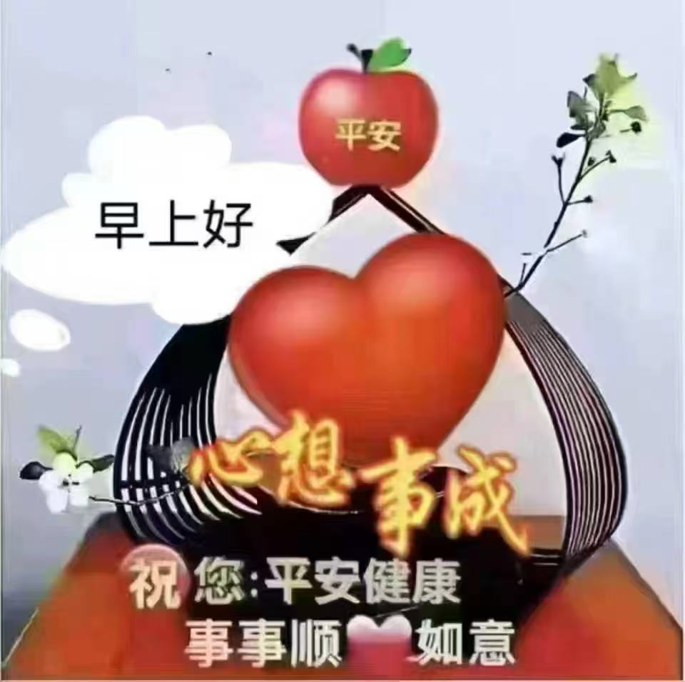 51助手卡密：绵羊可可，五年自媒体之路与公益心声分享