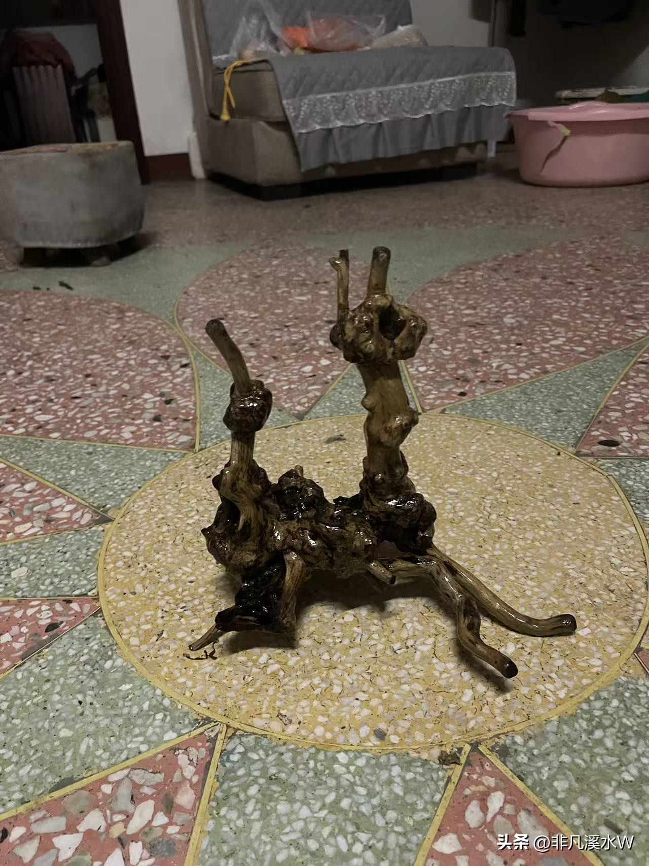 易单助手:追寻内心的快乐与人生意义,老乡挖黄荆的生活启示 易单助手:追寻内心的快乐与人生意义,老乡挖黄荆的生活启示