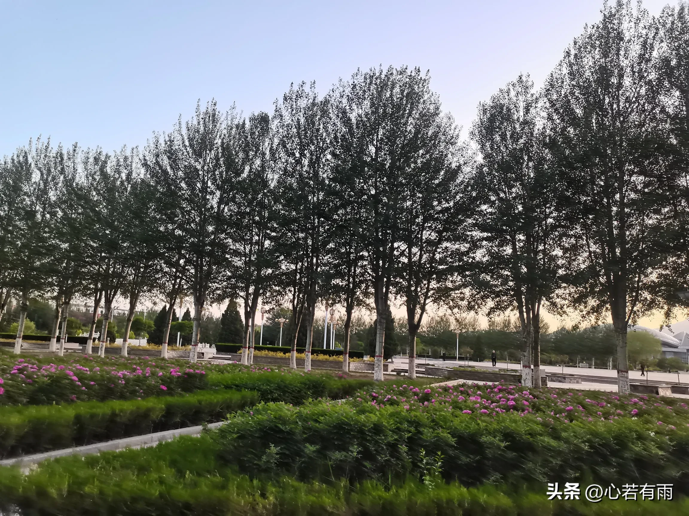 琦玉助手：网络直播带货崛起，实体店面临挑战，人际关系与经济的转变
